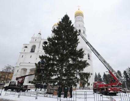 Установка новогодней елки на Соборной площади Московского Кремля. 21 декабря  2010 года.