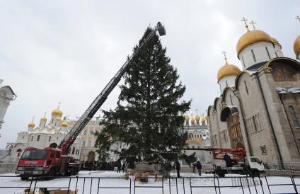 Установка новогодней елки на Соборной площади Московского Кремля. 21 декабря  2010 года.