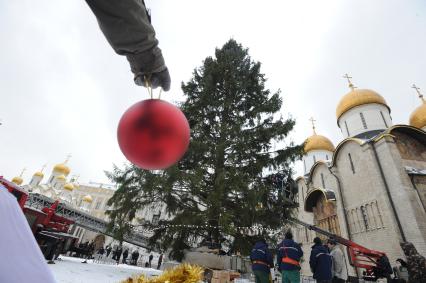 Установка новогодней елки на Соборной площади Московского Кремля. 21 декабря  2010 года.