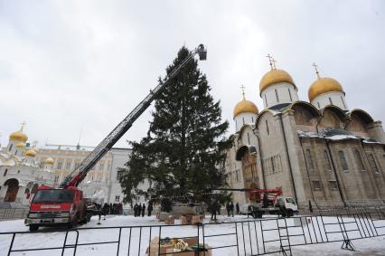 Установка новогодней елки на Соборной площади Московского Кремля. 21 декабря  2010 года.