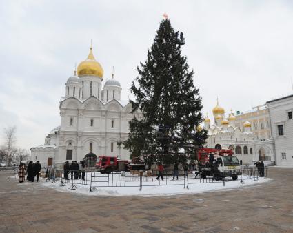 Установка новогодней елки на Соборной площади Московского Кремля. 21 декабря  2010 года.