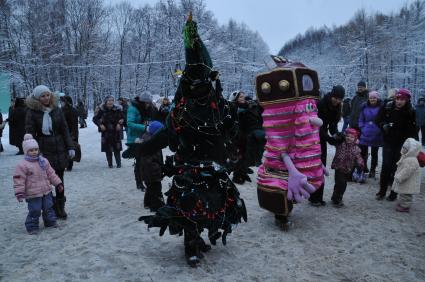 Парк \"Сокольники\". Зимние развлечения.  Москва. 09 января 2012 года.