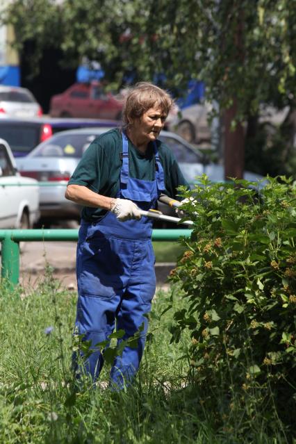 Женщина подрезает кустарник в городе. Уфа. 7 июля 2011 года.