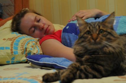 Здоровый сон. Кошка спит вместе со своей хозяйкой. 19 января 2012.