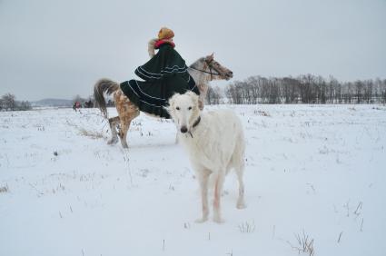 Реконструкция большой псовой охоты в Подмосковье. Можайск. 21 января 2012 года.