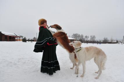 Реконструкция большой псовой охоты в Подмосковье. Можайск. 21 января 2012 года.