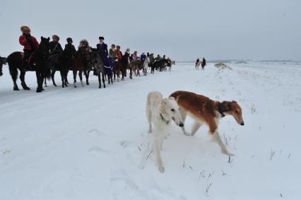 Реконструкция большой псовой охоты в Подмосковье. Можайск. 21 января 2012 года.