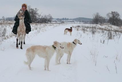 Реконструкция большой псовой охоты в Подмосковье. Можайск. 21 января 2012 года.