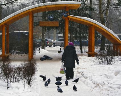 Пожилая жещина, пенсионер идет по зимнему парку в окружении голубей.