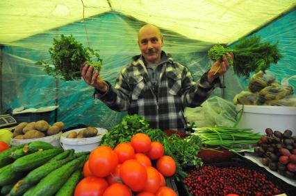 Ярмарка выходного дня. На снимке:  продавец овощной палатки.