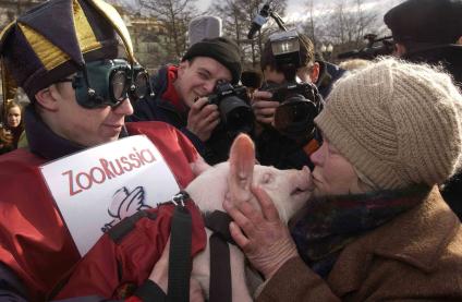 Женщина целует поросенка на поросячьих бегах в рамках международного Форума \"ЗОО РОССИЯ 2004\".