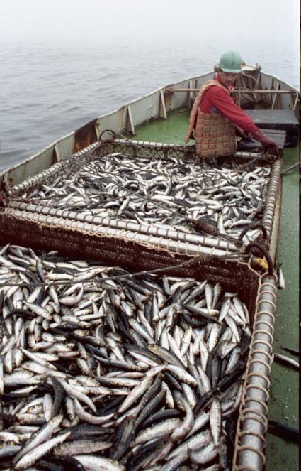 Рыбаки во время рыбалки в море.