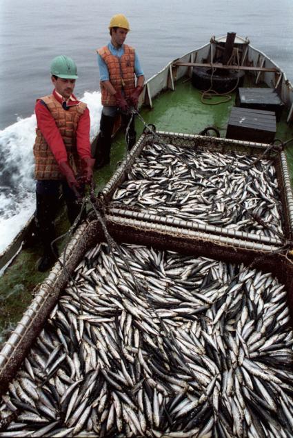 Рыбаки во время рыбалки в море.