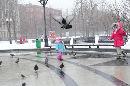 Дети гоняют голубей.