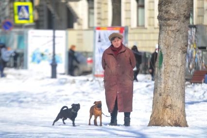 Женщина выгуливает двух собак.