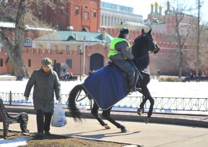 Женщина обходит взбесившуюся полицейскую лошадь по газону.