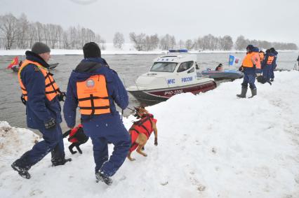 Коломенский район. Показное тактико-специальное учение Коломенского районного звена Московской областной системы предупреждения и ликвидации чрезвычайных ситуаций по ликвидации последствий весеннего половодья на территории района. На снимке: специалисты-кинологи МЧС со служебными собаками.