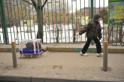 Мальчик везет на санках клетку с поросенком.