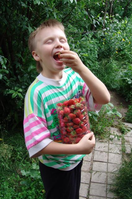 Мальчик с удовольствием ест клубнику.