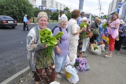 Торговля зеленью у метро `Домодедовская`.