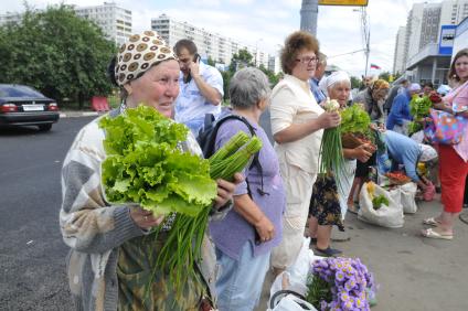 Торговля зеленью у метро `Домодедовская`.