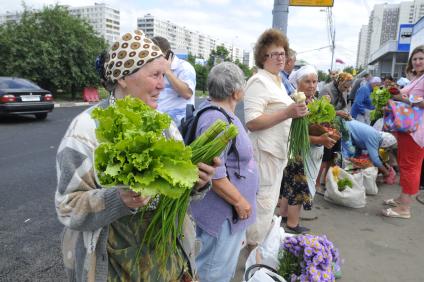 Торговля зеленью у метро `Домодедовская`.