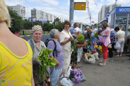 Торговля зеленью у метро `Домодедовская`.