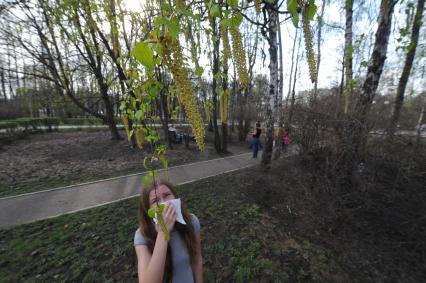 Березовые сережки. Девушка с платком. Аллергия на пыльцу деревьев.