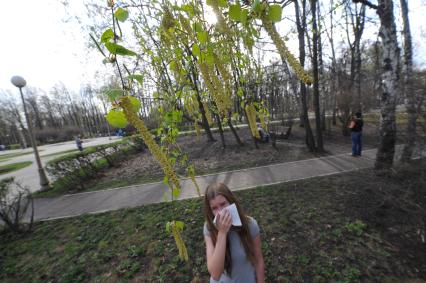 Березовые сережки. Девушка с платком. Аллергия на пыльцу деревьев.