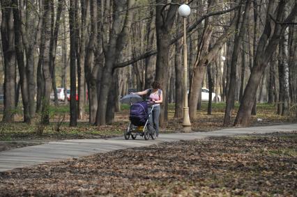 Женщина с ребенком в детской коляске гуляют в парке.