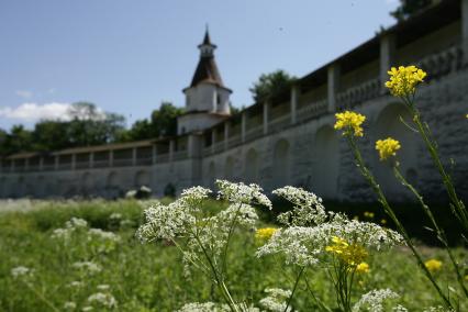 Воскресенский Новоиерусалимский мужской ставропигиальный монастырь. На снимке: Башня Сионская.