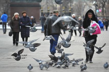 Манежная площадь. На снимке: прохожие люди и стая голубей.