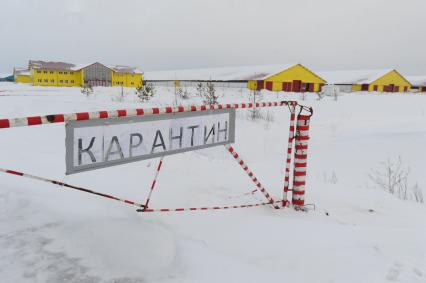 Поселок `Малахово` Раменского района Подмосковья. Корпуса компании `Племенной завод `Раменское`.