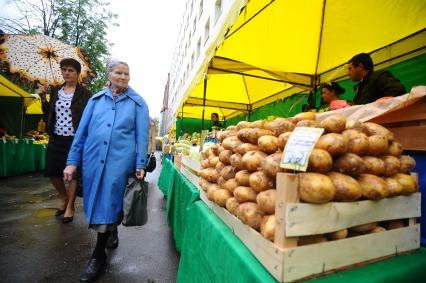 Ярмарка выходного дня. На снимке: торговля картофелем.