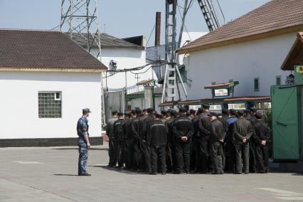 Колония общего режима. Осужденные выстроились на плацу.