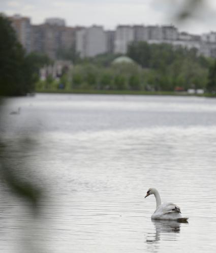 Виды Москвы. Музей-заповедник `Царицыно`.