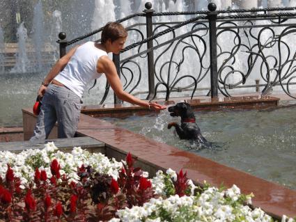 В жаркий день девушка играет с собакой которая плавает в фонтане.