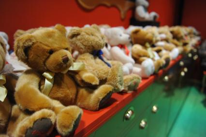 ТРЦ `Европейский`. Торжественное открытие первого российского магазина Hamleys . На снимке: плюшевые медведи.