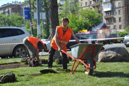 Озеленение города. На снимке: укладка газонной травы на улицах столицы.