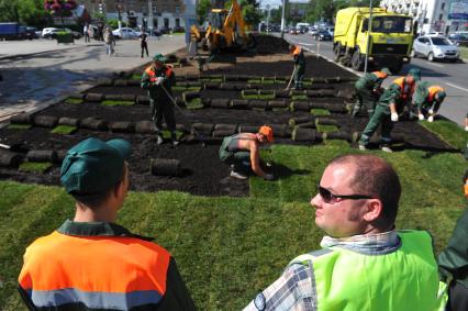 Озеленение города. На снимке: укладка газонной травы на улицах столицы.