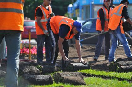 Озеленение города. На снимке: укладка газонной травы на улицах столицы.