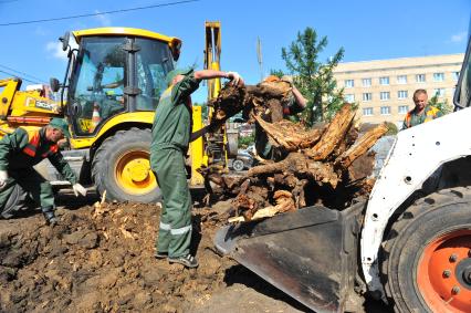 Благоустройство города. На снимке: подготовка грунта для укладки газонной травы.