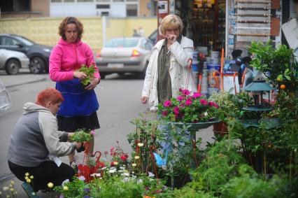 Женщины выбирают на рынке рассаду.