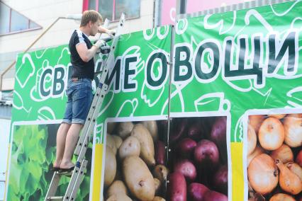 Молодой человек вешает на забор растажку о продаже свежих овощей в арйоне метро Кузьминки.