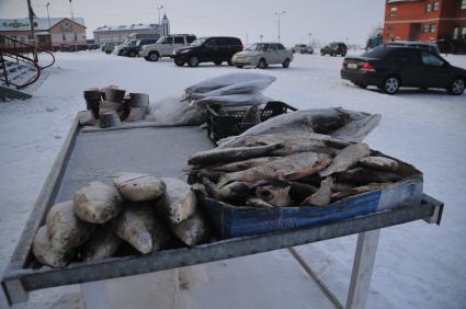 Город Лабытнанги. На снимке: продажа замороженной рыбы.