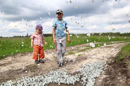 Нашествие бабочек. Село Чернуха, Нижегородская область. Дети наблюдают за бабочками.