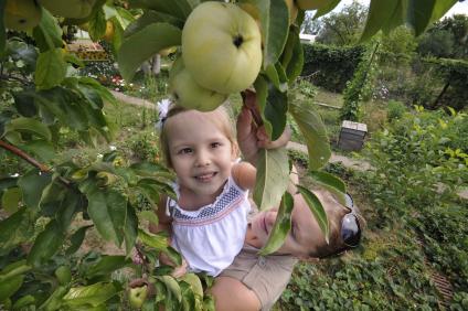 Дача. На снимке: ребенок и яблоки.