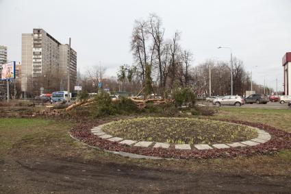 Вырубка деревьев на Ярославском шоссе.