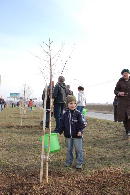 Ребенок поливает только что посаженный саженец дерева из ведра.