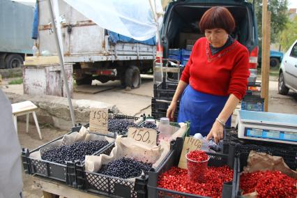 Продажа ягод черники и клюквы на рынке.